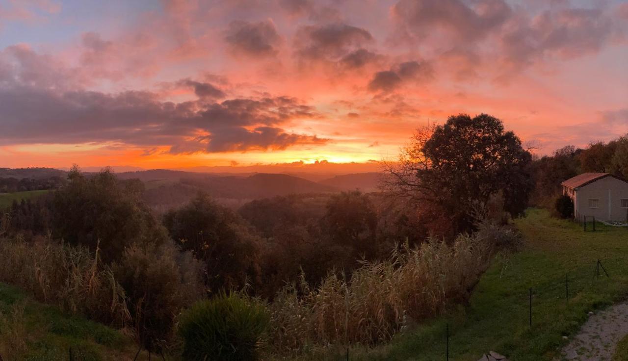 Agriturismo Anna-Rosa Legoli Zewnętrze zdjęcie